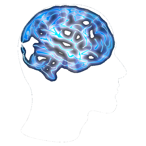 VirtueelBrein logo