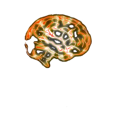 VirtueelBrein